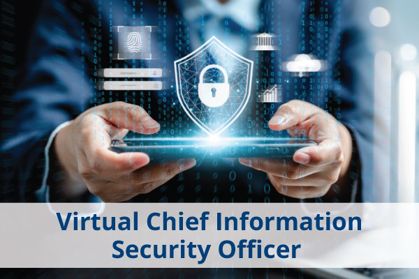 VirtualChiefInformationSecurityOfficer-400x600