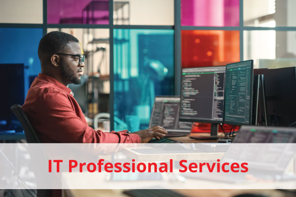 ITProfessionalServices-600x400