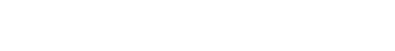 IronBrick-Logo_white-800x104