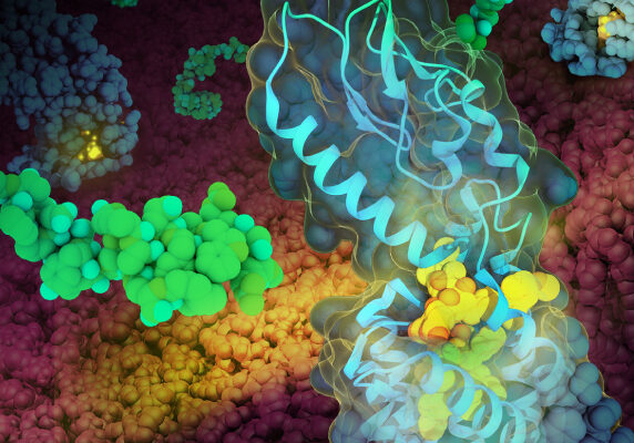 ED-PDB-600x400